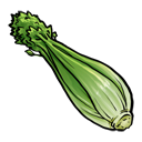 Celery