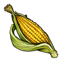 Sweetcorn