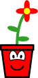 Plant pot